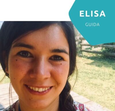 Elisa